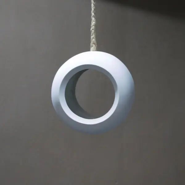 Bird Pod 290 01