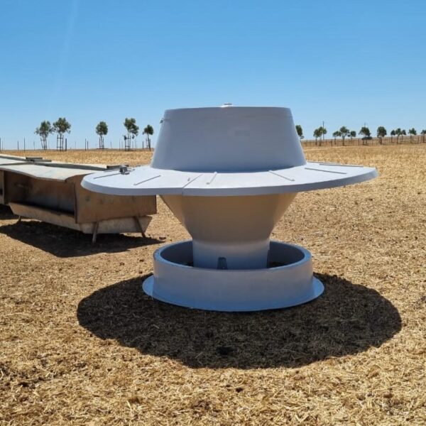 IMG-20241211-WA00685