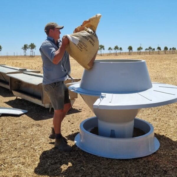 IMG-20241211-WA00695