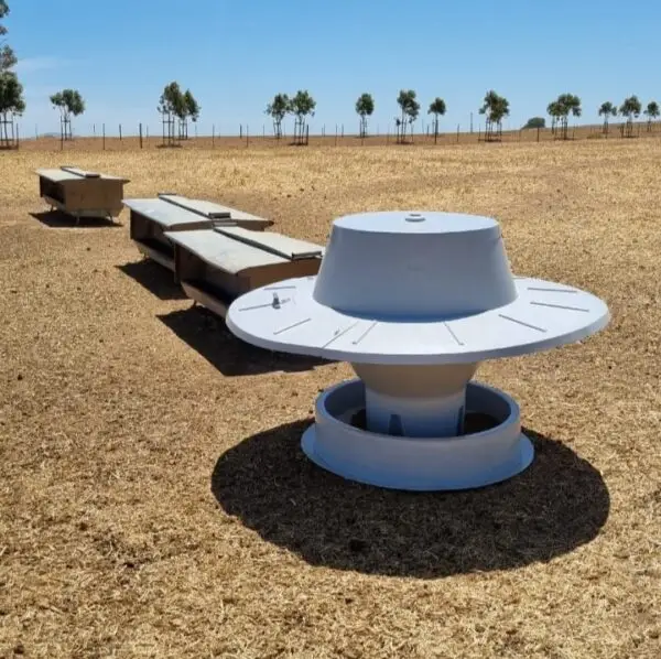 IMG-20241211-WA00705