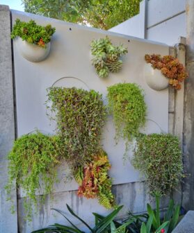 Vibracrete Dome Wall Garden
