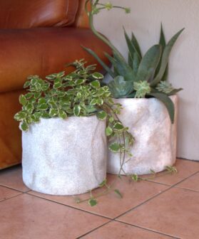 Dune Cylinder Planters