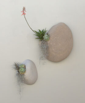 Wall Rock Planter